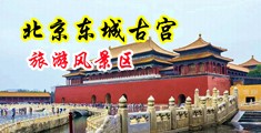 腿长水多叫床骚盘丝影院中国北京-东城古宫旅游风景区